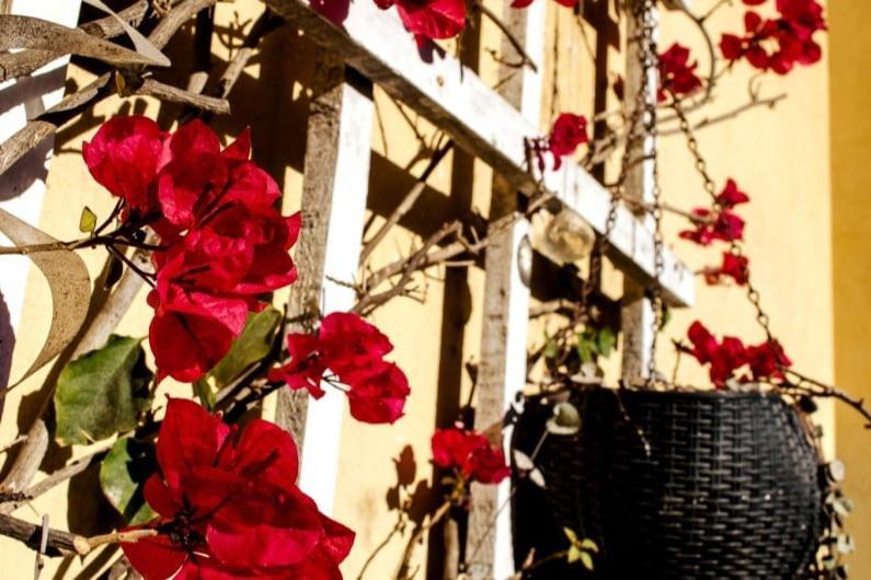 Apartamento Casa De Sabela Montevideo