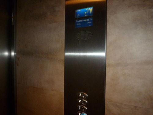 Oliva Luxury