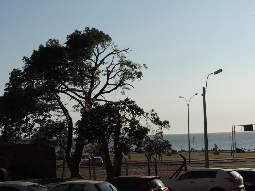 Marazul * Montevideo