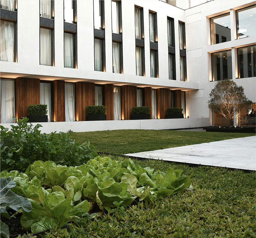 Hotel Oliva Luxury 4*